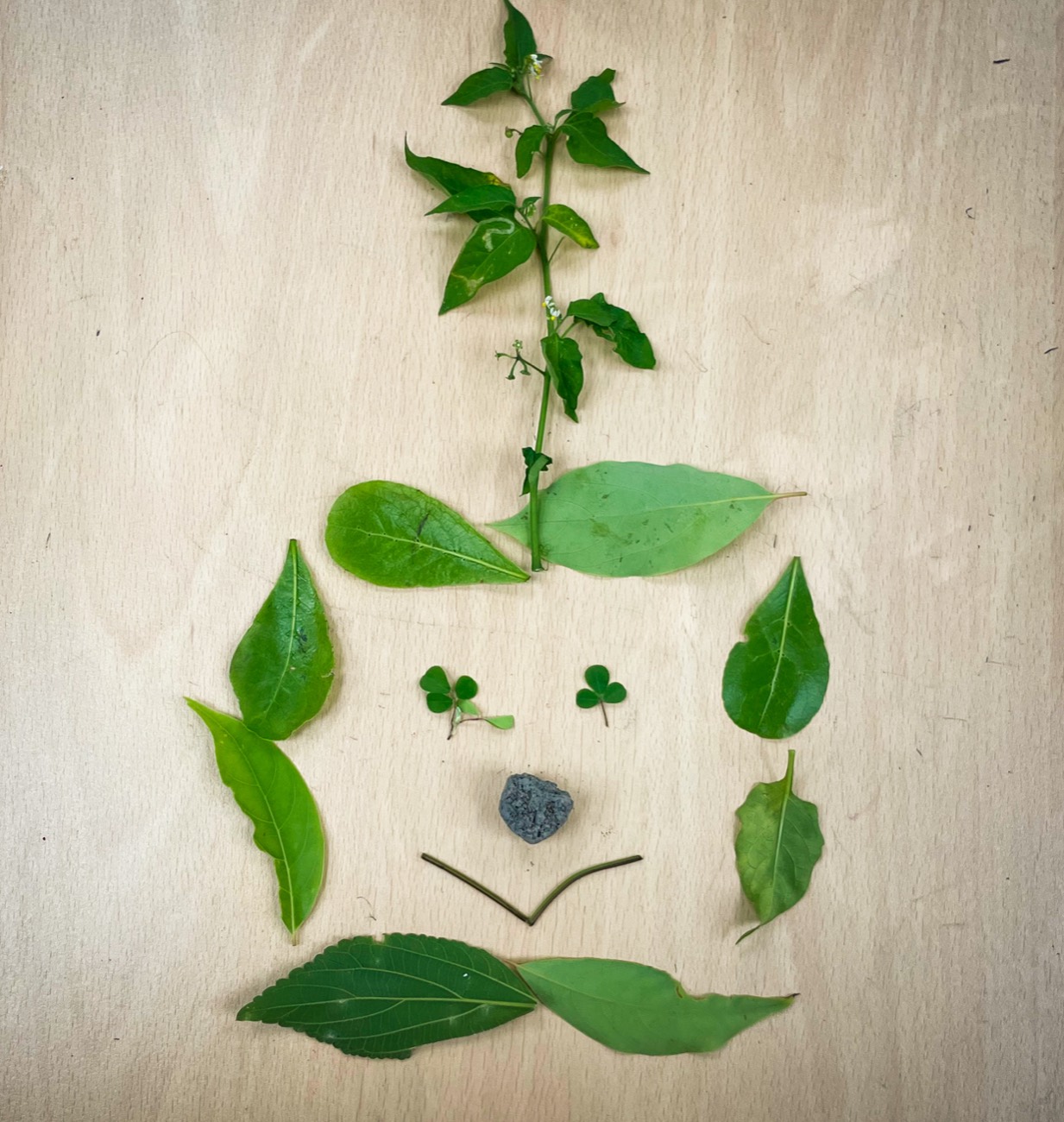 Nature studies through play and prints in a homeschool micro-class